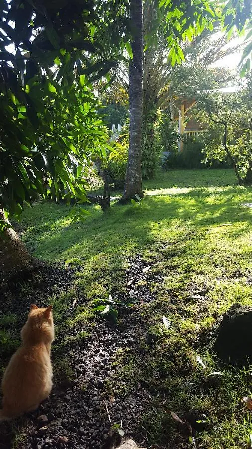 Vacances Bien Etre Guadeloupe Bouillante Holiday home