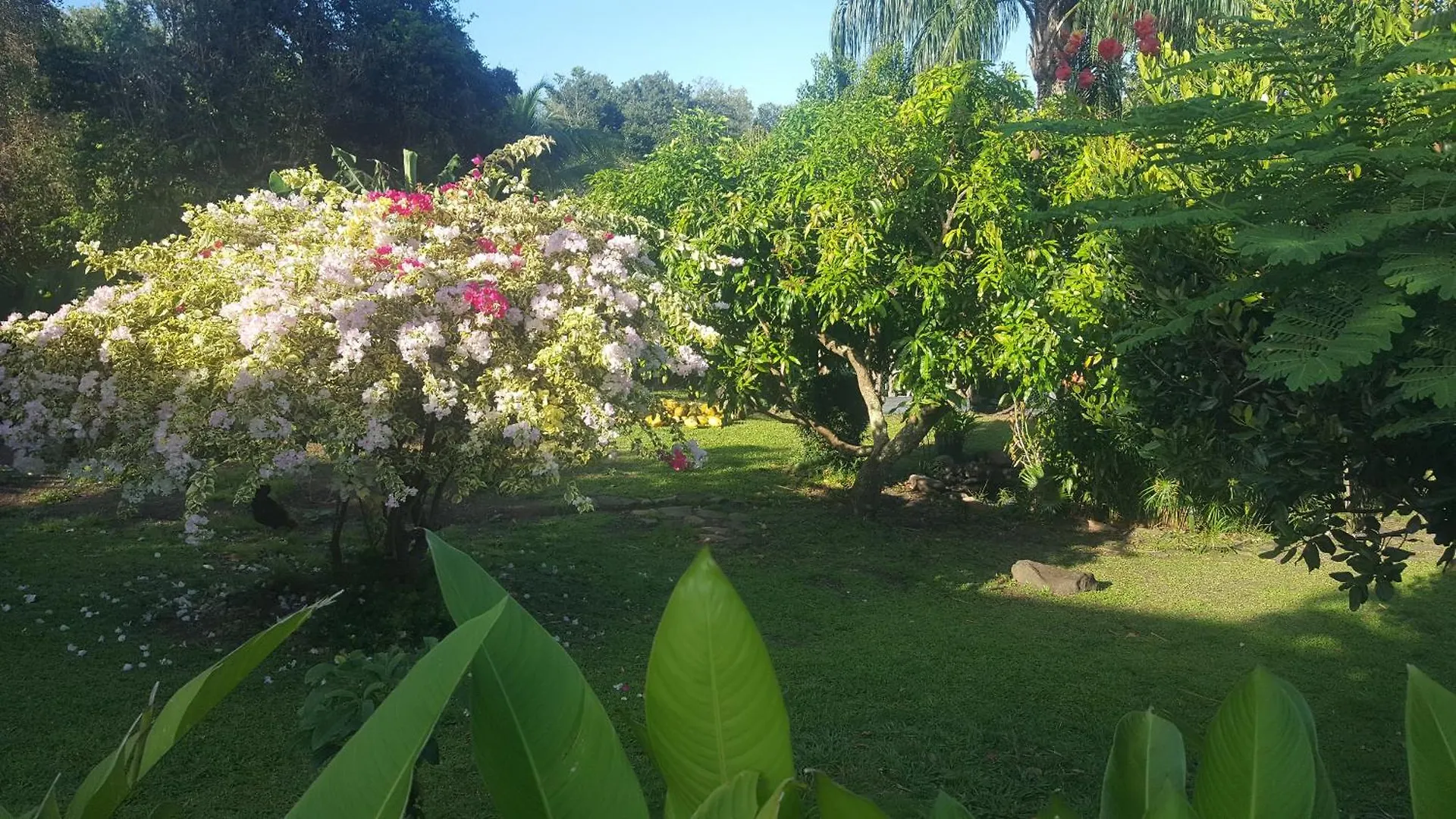 Vacances Bien Etre Guadeloupe Bouillante