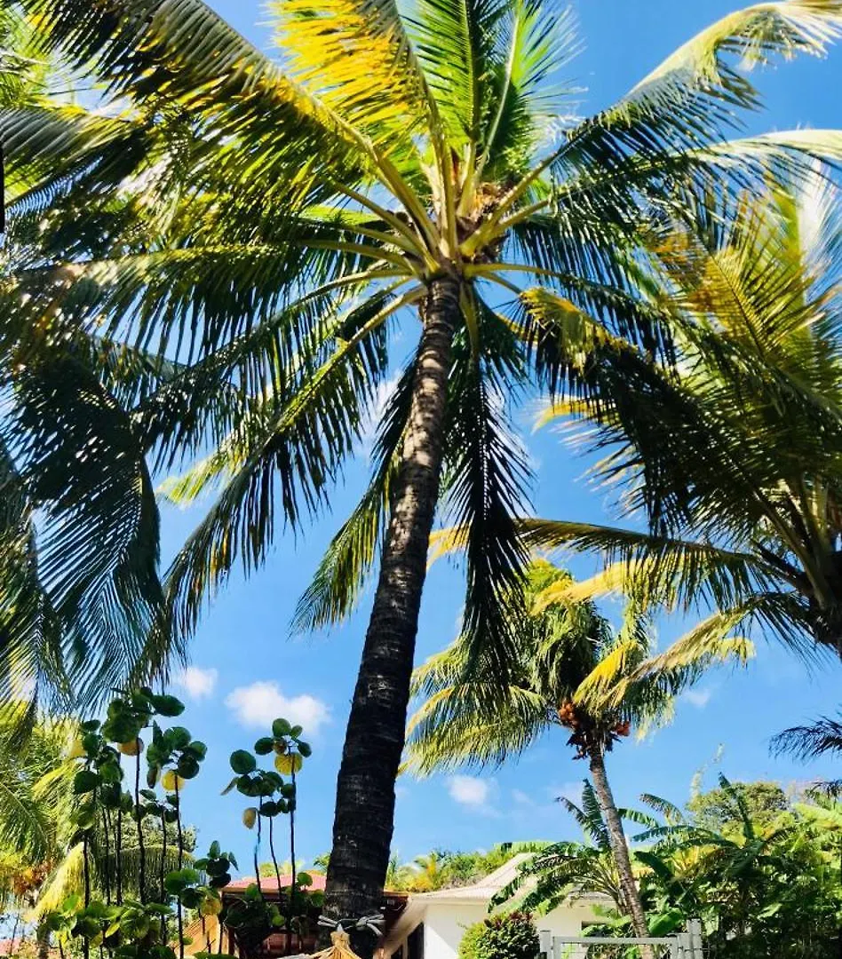 Holiday home Vacances Bien Etre Guadeloupe Bouillante Guadeloupe