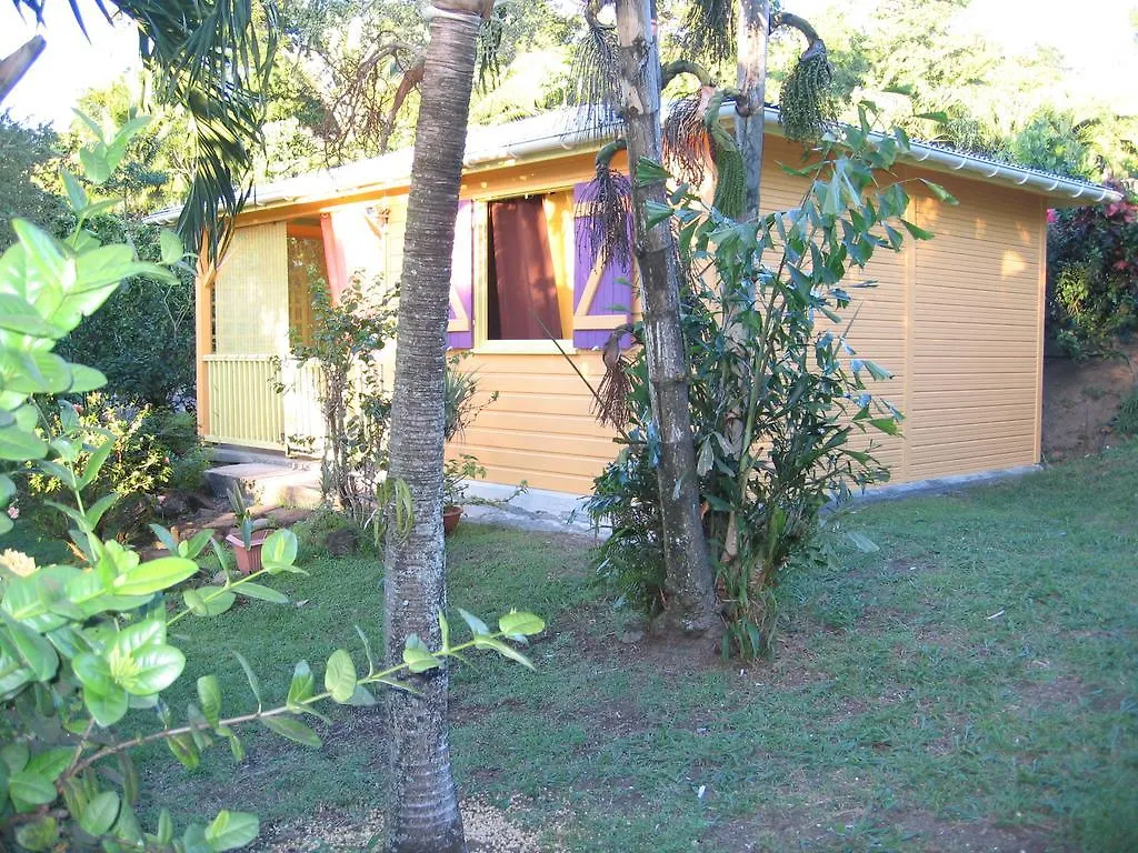 Vacances Bien Etre Guadeloupe Bouillante Guadeloupe