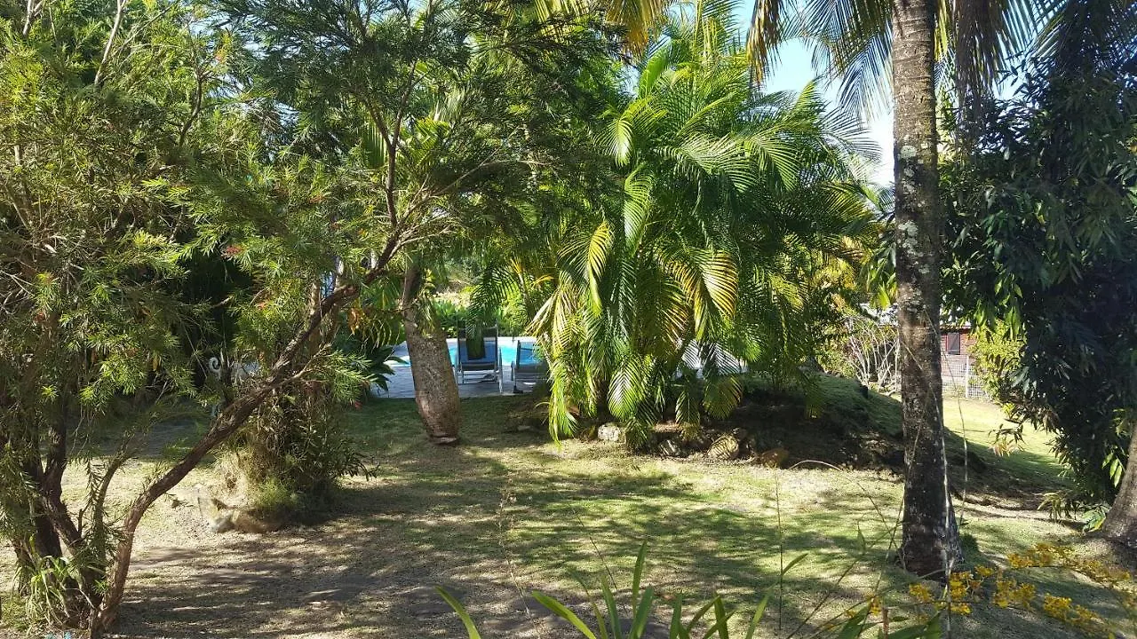 Vacances Bien Etre Guadeloupe Bouillante Guadeloupe