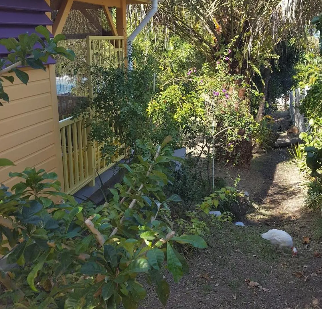 Vacances Bien Etre Guadeloupe Bouillante Prázdninový dům
