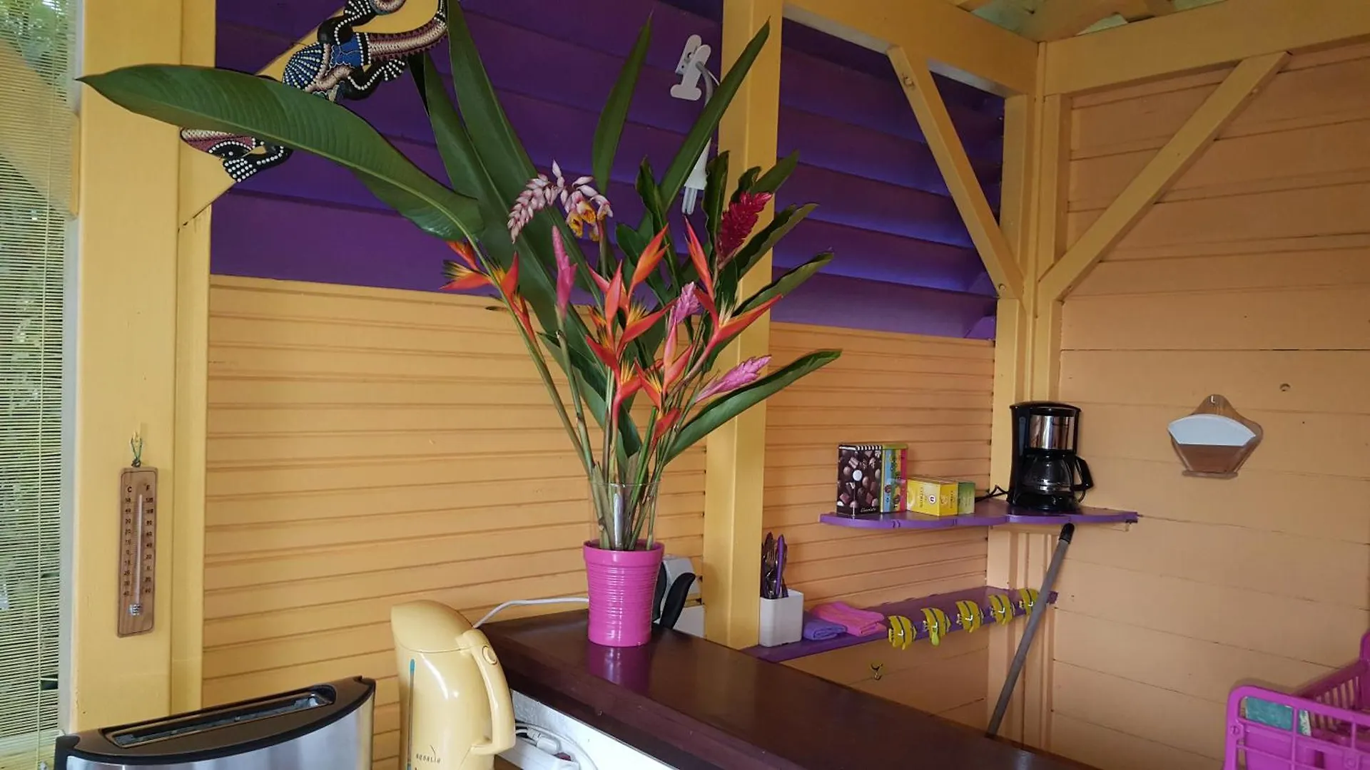 Vacances Bien Etre Guadeloupe Bouillante Guadeloupe